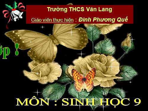 Bài 59. Khôi phục môi trường và gìn giữ thiên nhiên hoang dã