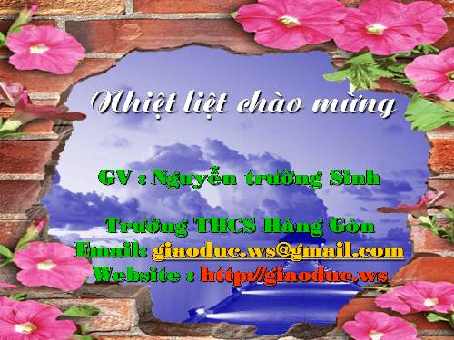 Bài 47. Quần thể sinh vật