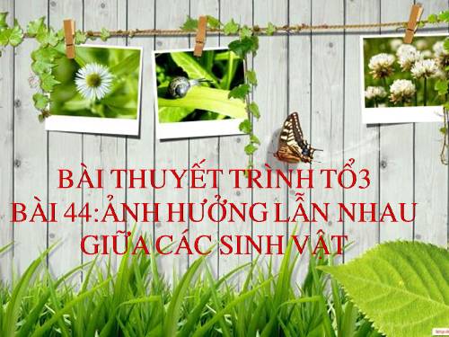 Bài 44. Ảnh hưởng lẫn nhau giữa các sinh vật