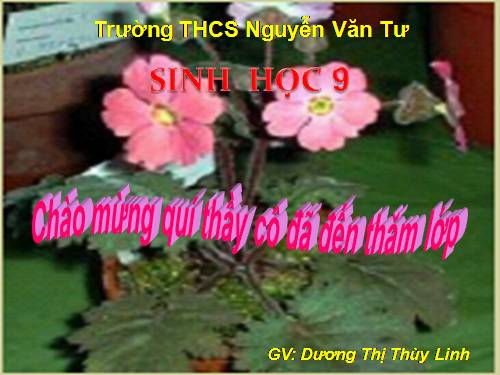 Bài 25. Thường biến