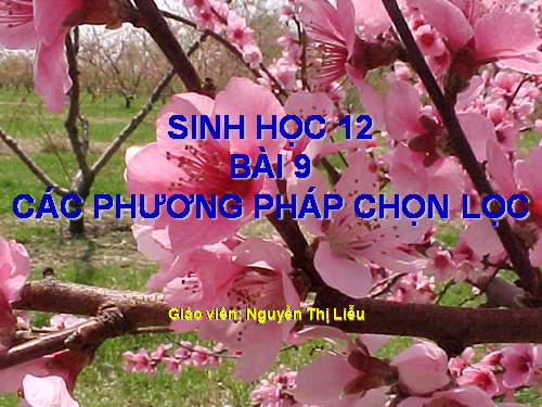 Các phương pháp chọn lọc