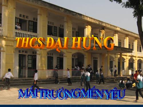 Bài 41. Môi trường và các nhân tố sinh thái