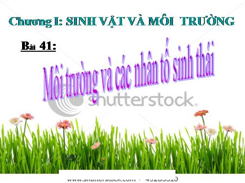 bài 41. môi trường và các nhân tố sinh thái ( cực hay)