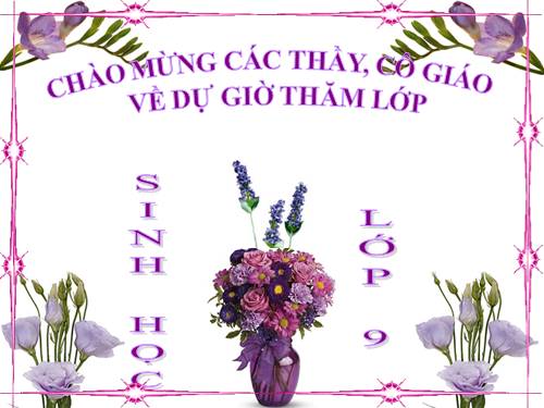 Bài 21. Đột biến gen