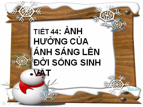 Bài 42. Ảnh hưởng của ánh sáng lên đời sống sinh vật