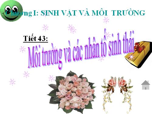 Bài 41. Môi trường và các nhân tố sinh thái