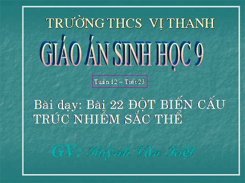 Bài 22. Đột biến cấu trúc nhiễm sắc thể