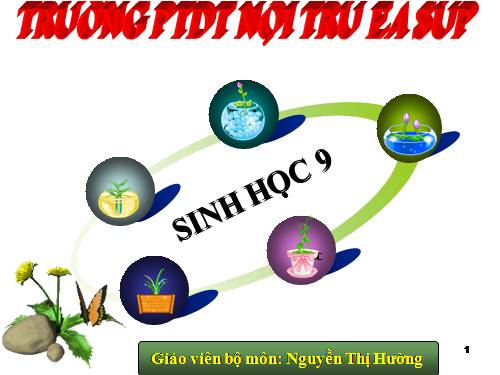 Bài 36. Các phương pháp chọn lọc