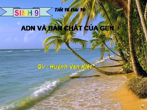 Bài 16. ADN và bản chất của gen