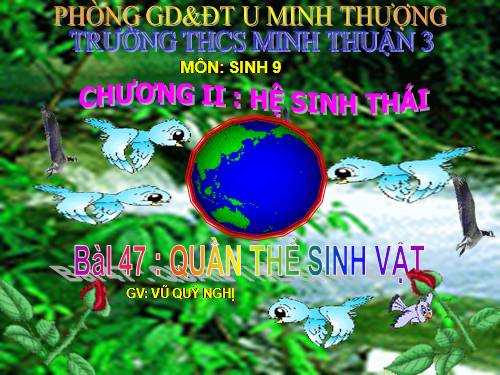 Bài 47. Quần thể sinh vật