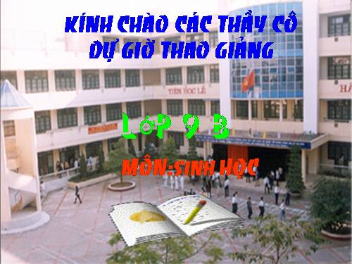 Bài 19. Mối quan hệ giữa gen và tính trạng