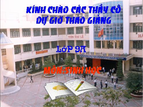 Bài 17. Mối quan hệ giữa gen và ARN