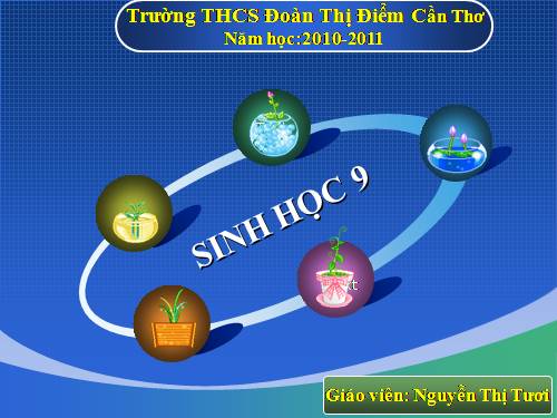 Bài 39. Thực hành: Tìm hiểu thành tựu chọn giống vật nuôi và cây trồng