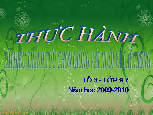 bài thực hành sinh 9