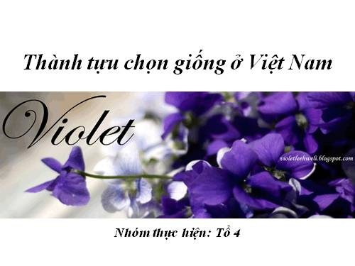 Bài 37. Thành tựu chọn giống ở Việt Nam