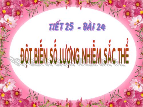 Bài 24. Đột biến số lượng nhiễm sắc thể (tiếp theo)