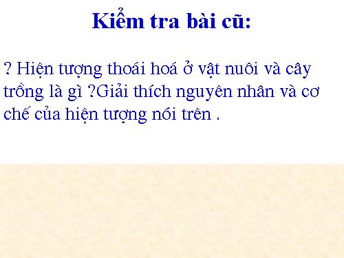 Bài 35. Ưu thế lai