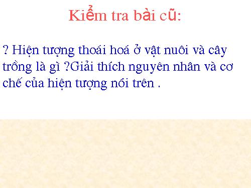 Bài 35. Ưu thế lai