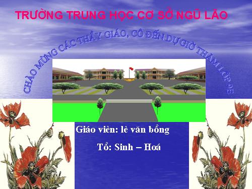 Bài 25. Thường biến