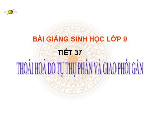 Bài 34. Thoái hoá do tự thụ phấn và do giao phối gần