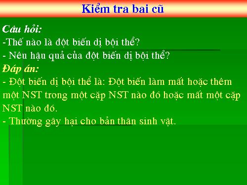 Bài 24. Đột biến số lượng nhiễm sắc thể (tiếp theo)