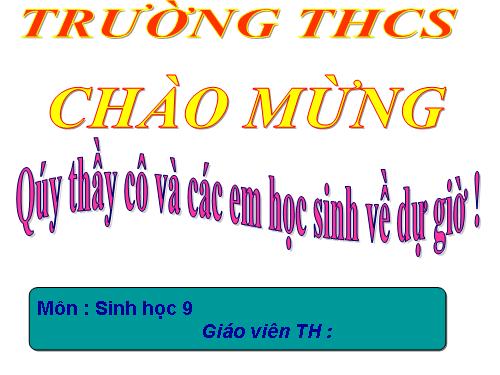 Bài 24. Đột biến số lượng nhiễm sắc thể (tiếp theo)