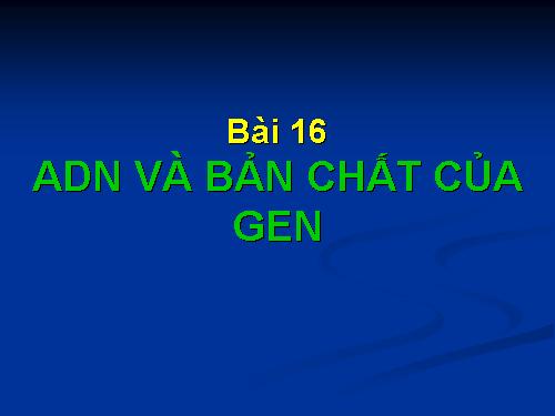 Bài 16. ADN và bản chất của gen