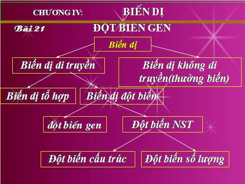 Bài 21. Đột biến gen