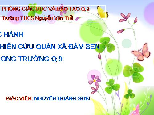 Thực hành Nghiên cứu quần xã