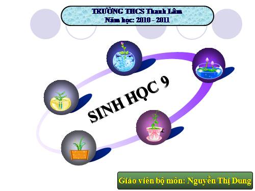 Bài 37. Thành tựu chọn giống ở Việt Nam