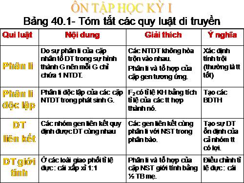 Bài 40. Ôn tập phần Di truyền và biến dị