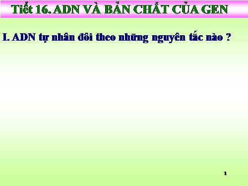 Bài 16. ADN và bản chất của gen