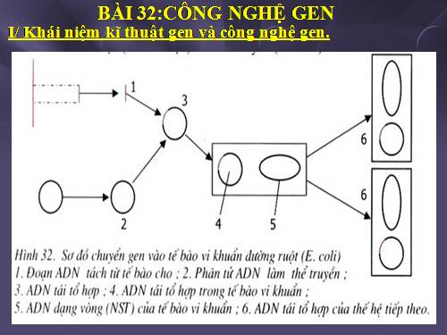 Bài 32. Công nghệ gen