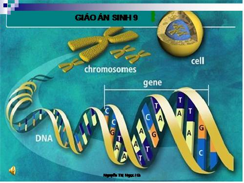 Bài 21. Đột biến gen
