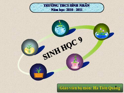 Tiết 35 ôn tập học kỳ I