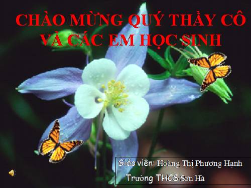 Bài 29. Bệnh và tật di truyền ở người