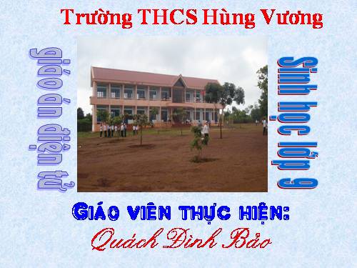 Bài 50. Hệ sinh thái