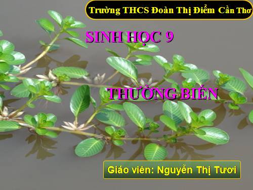 Bài 25. Thường biến