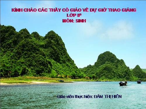 Bài 50. Hệ sinh thái