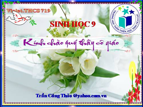 Bài 34. Thoái hoá do tự thụ phấn và do giao phối gần