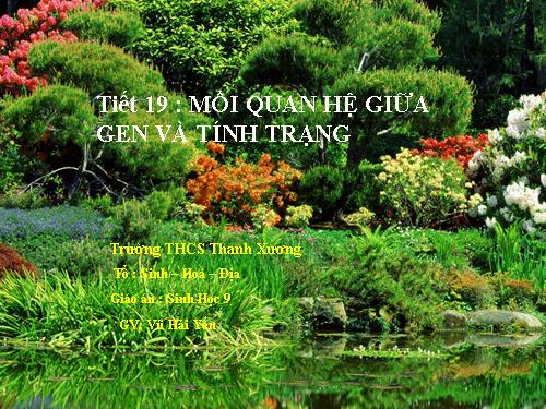 Bài 19. Mối quan hệ giữa gen và tính trạng