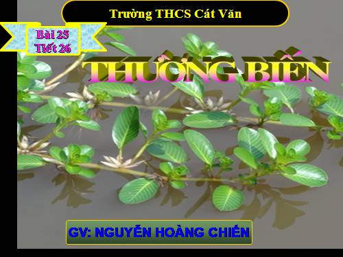 Bài 25. Thường biến