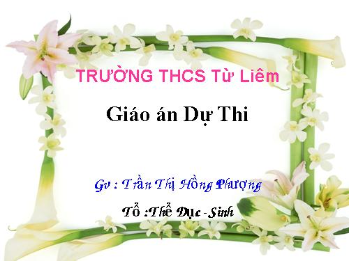 Bài 21. Đột biến gen