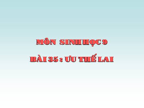 Bài 35. Ưu thế lai