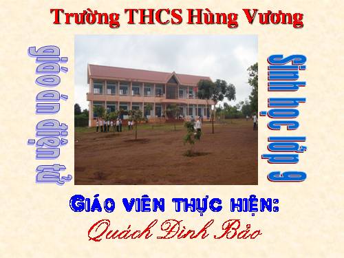 Bài 34. Thoái hoá do tự thụ phấn và do giao phối gần