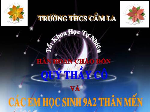 Bài 29. Bệnh và tật di truyền ở người