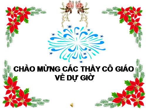 Bài 24. Đột biến số lượng nhiễm sắc thể (tiếp theo)