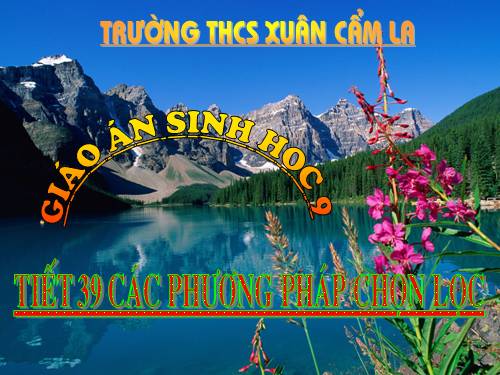 Bài 36. Các phương pháp chọn lọc