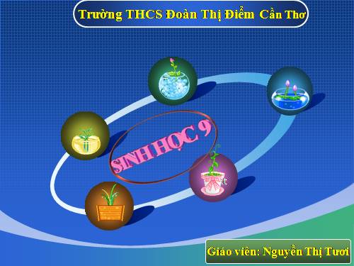 Bài 29. Bệnh và tật di truyền ở người