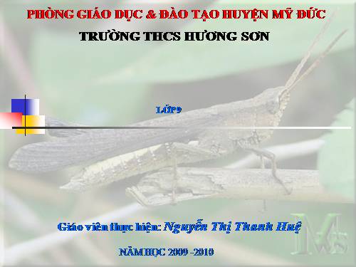 Bài 41. Môi trường và các nhân tố sinh thái